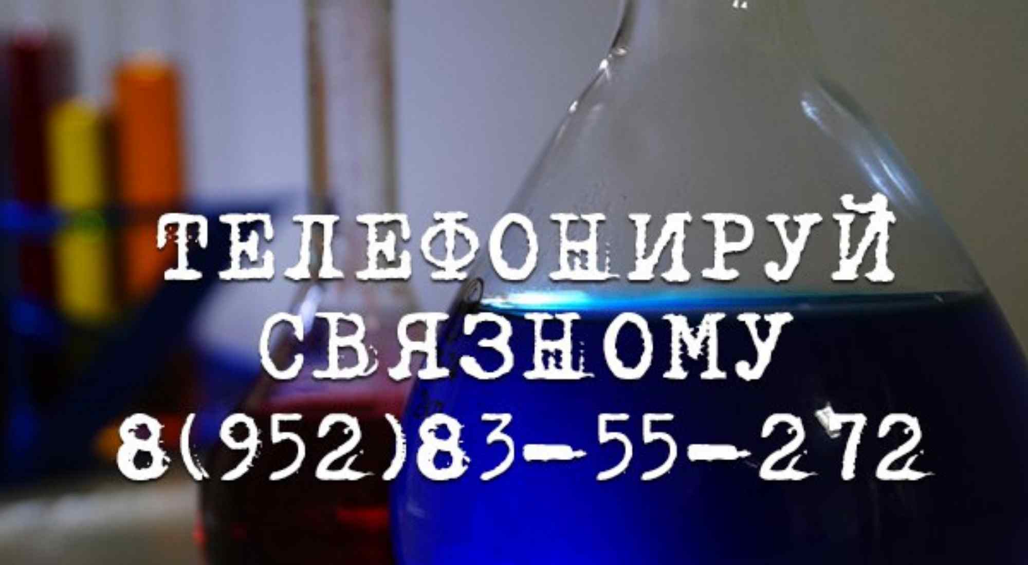 Фото квеста Одержимый профессор Сочи Вызов